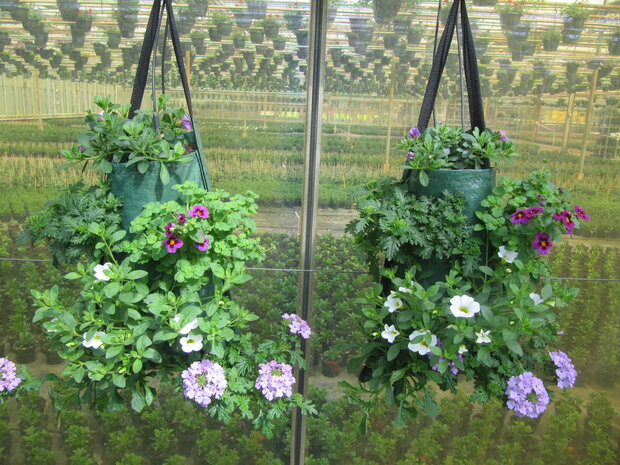 Flowerbag Mix Stek-perkgoed