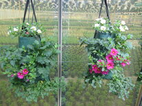 Flowerbag Mix Stek-perkgoed